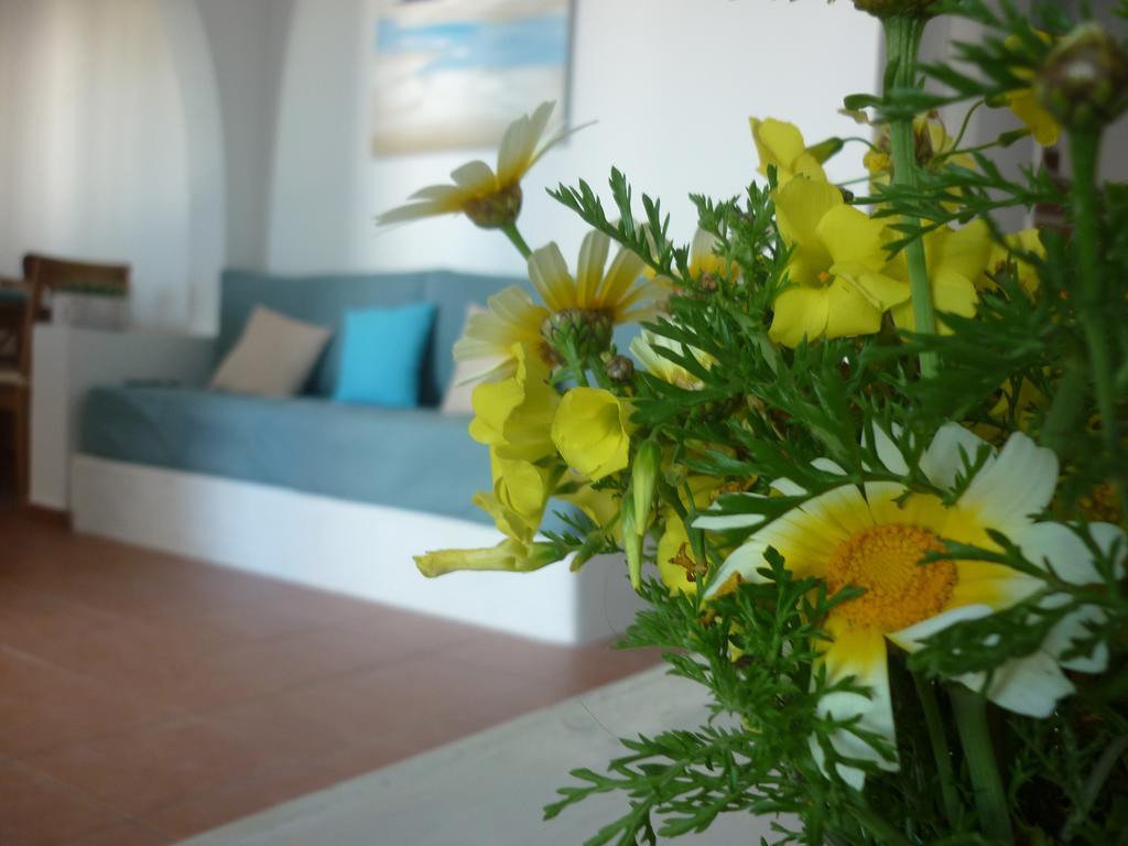 Villa Aelia Santorini Vóthon Camera foto
